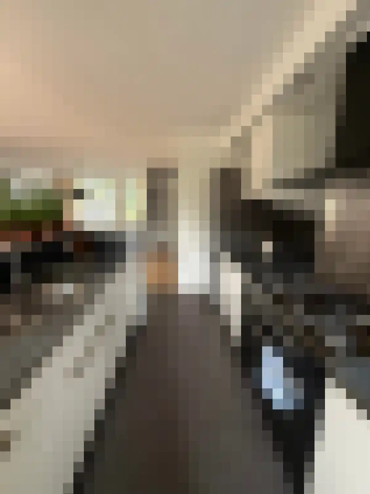 Cahorslaan 37 Eindhoven thumbnail 5