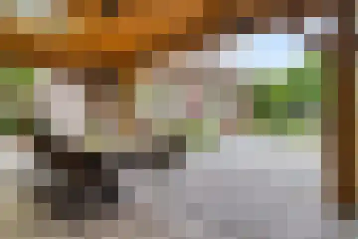 Cahorslaan 4 Eindhoven thumbnail 36