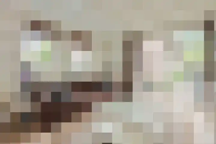 Cahorslaan 4 Eindhoven thumbnail 38