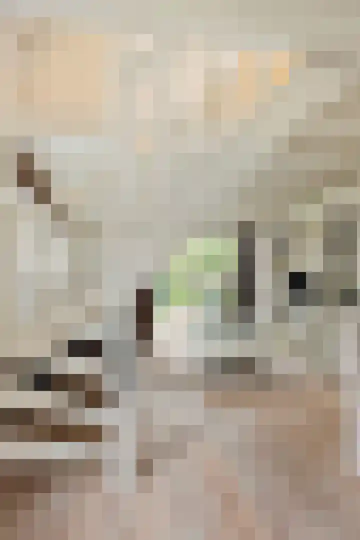 Cahorslaan 4 Eindhoven thumbnail 39