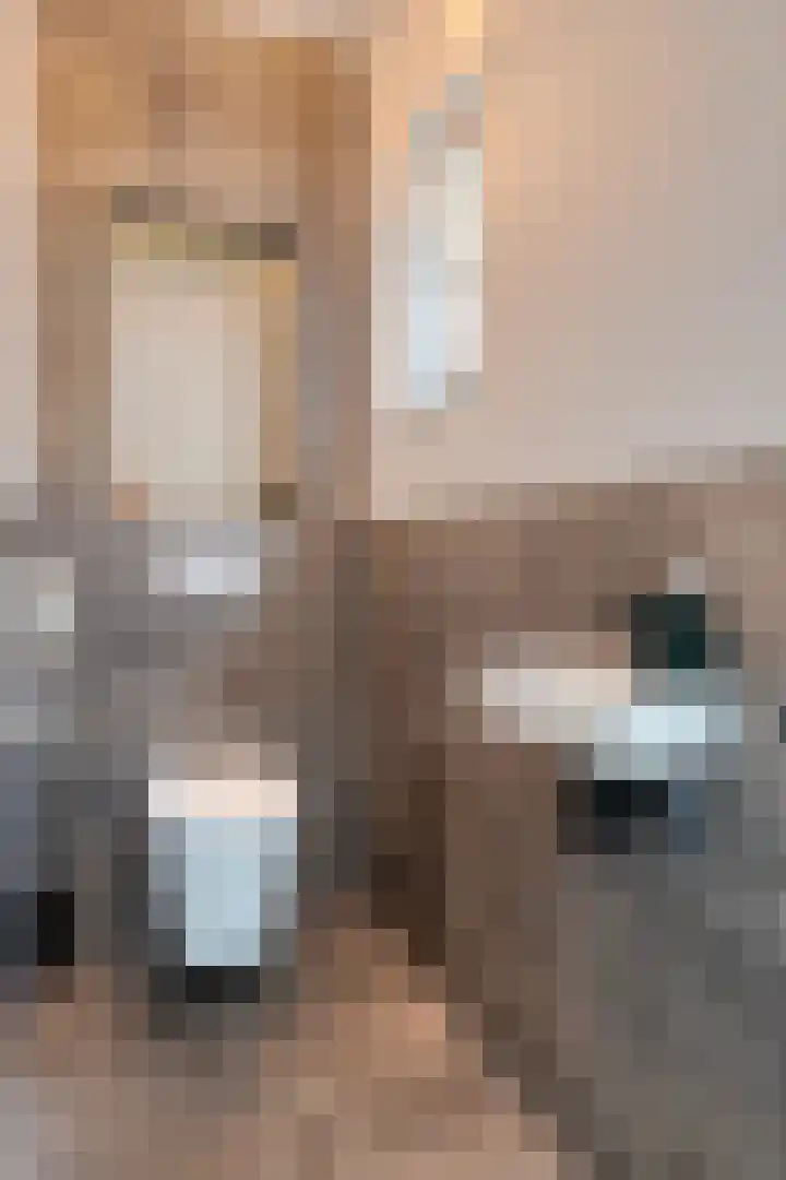 Cahorslaan 4 Eindhoven thumbnail 4