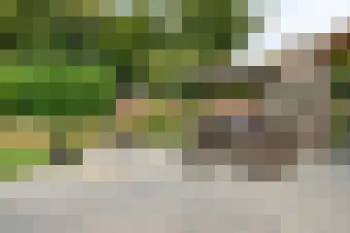 Cahorslaan 4 Eindhoven thumbnail 45