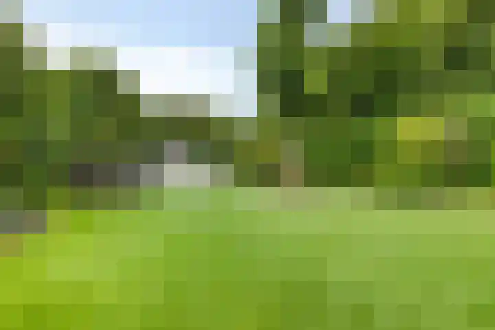 Cahorslaan 4 Eindhoven thumbnail 46