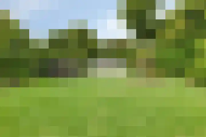 Cahorslaan 4 Eindhoven thumbnail 47