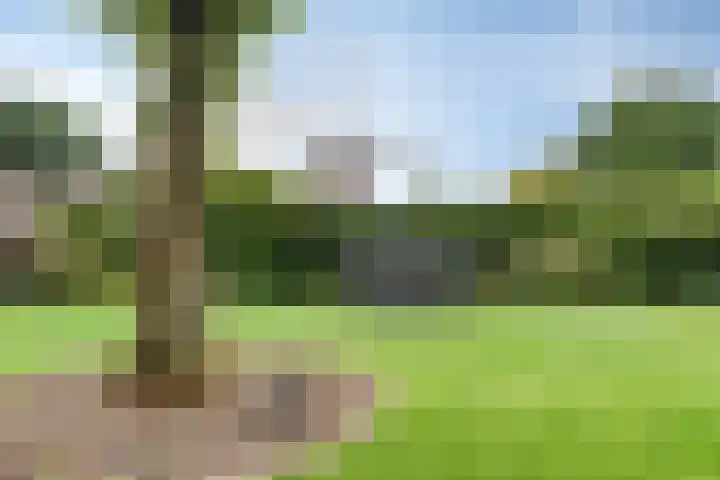 Cahorslaan 4 Eindhoven thumbnail 48