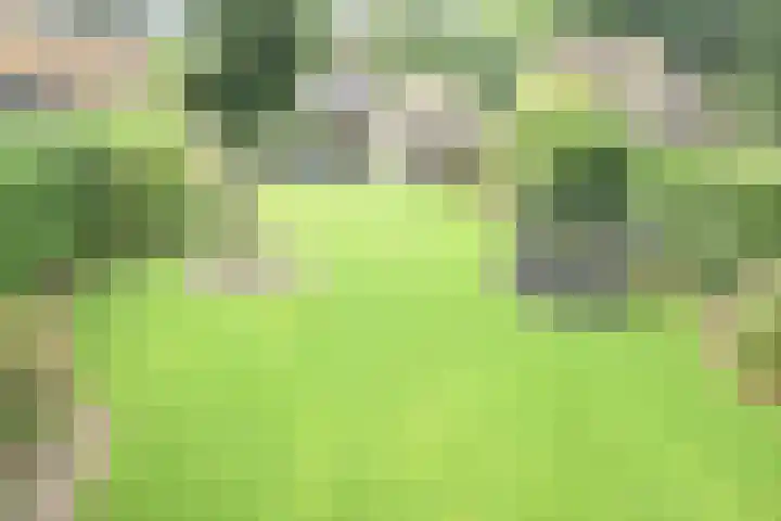 Cahorslaan 4 Eindhoven thumbnail 49