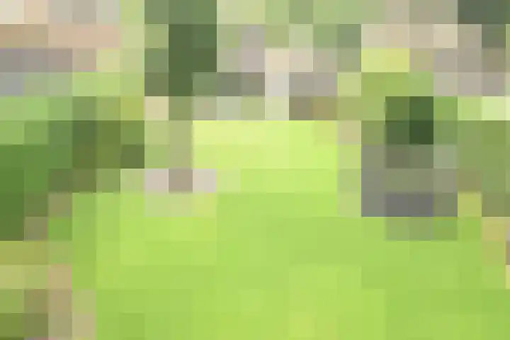 Cahorslaan 4 Eindhoven thumbnail 50