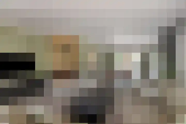Cahorslaan 4 Eindhoven thumbnail 8