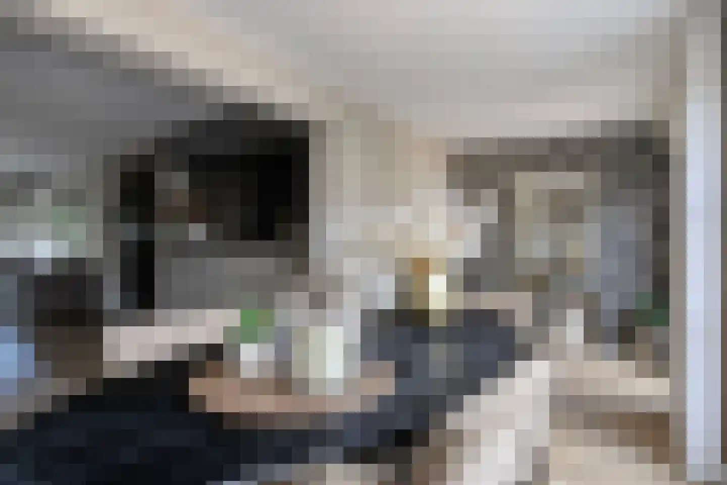 Cahorslaan 63 Eindhoven thumbnail 12