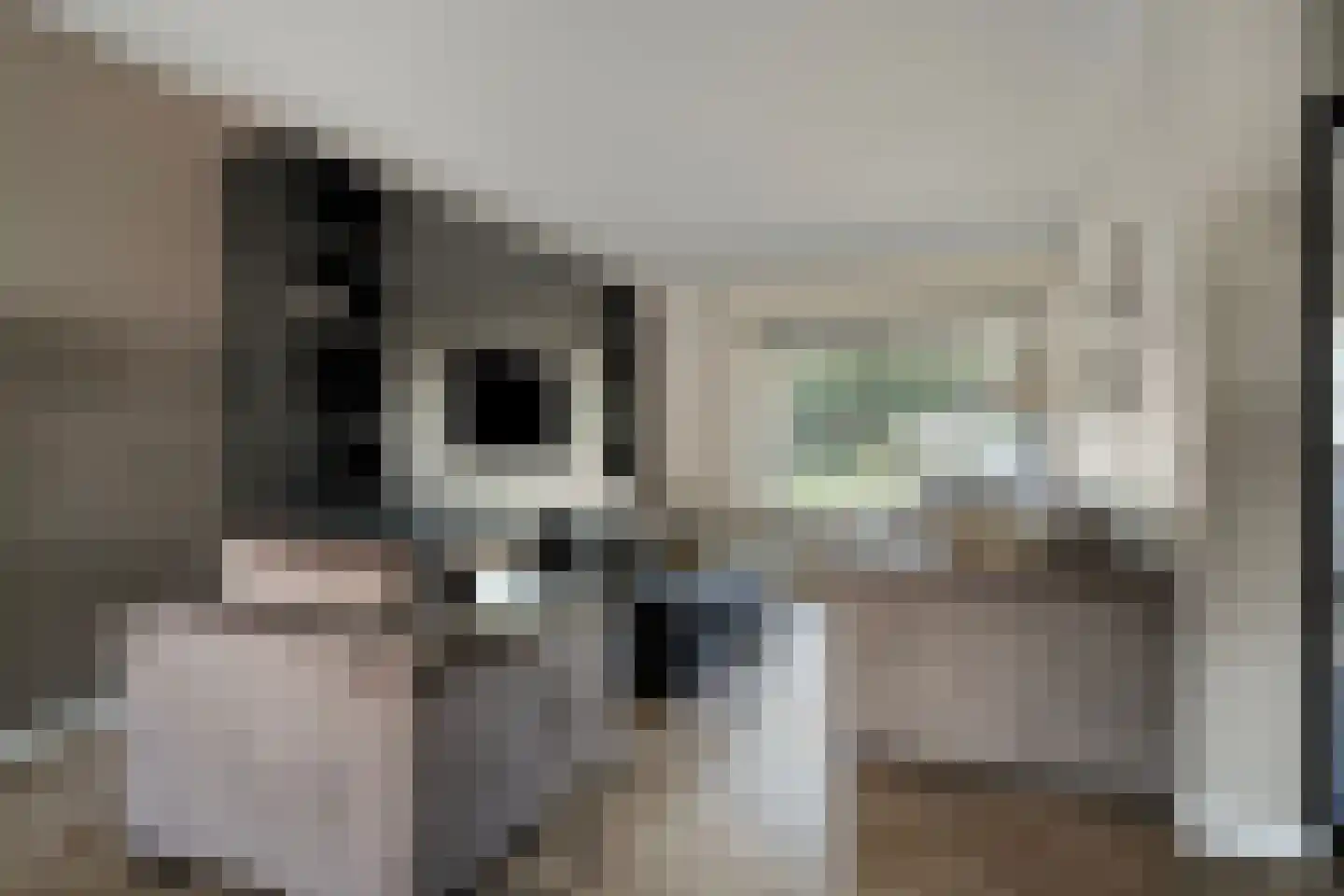Cahorslaan 63 Eindhoven thumbnail 6