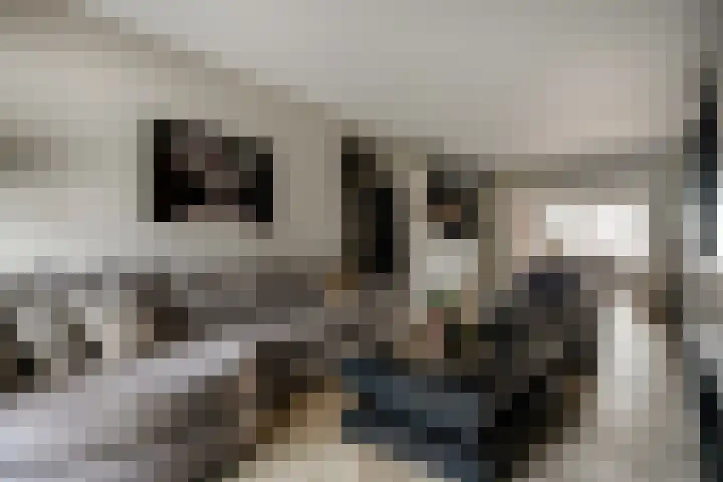 Cahorslaan 63 Eindhoven thumbnail 7