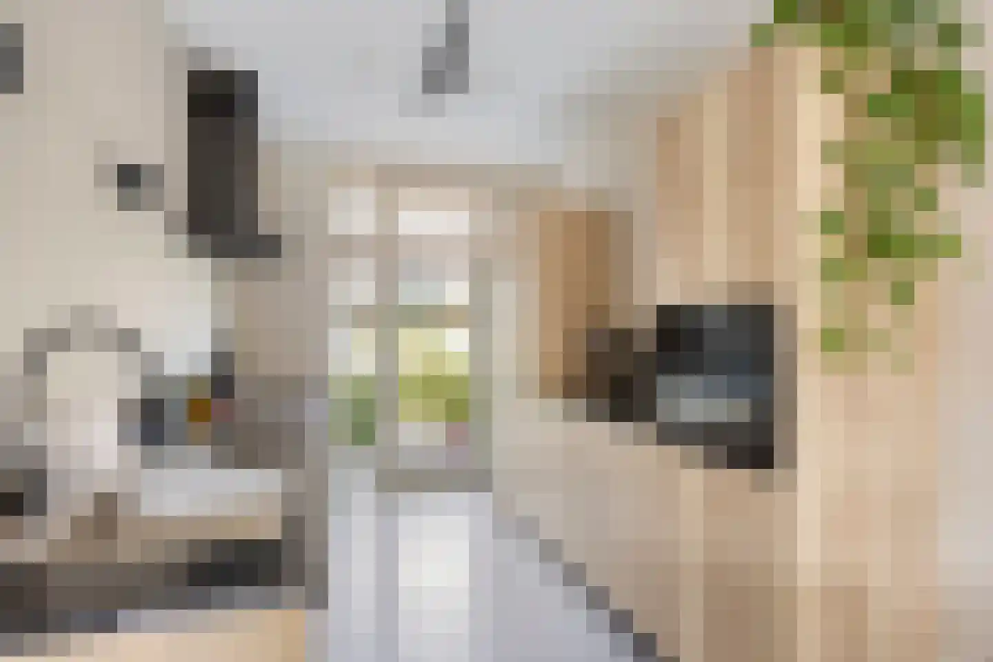 Caissondam 15 Arnhem thumbnail 13
