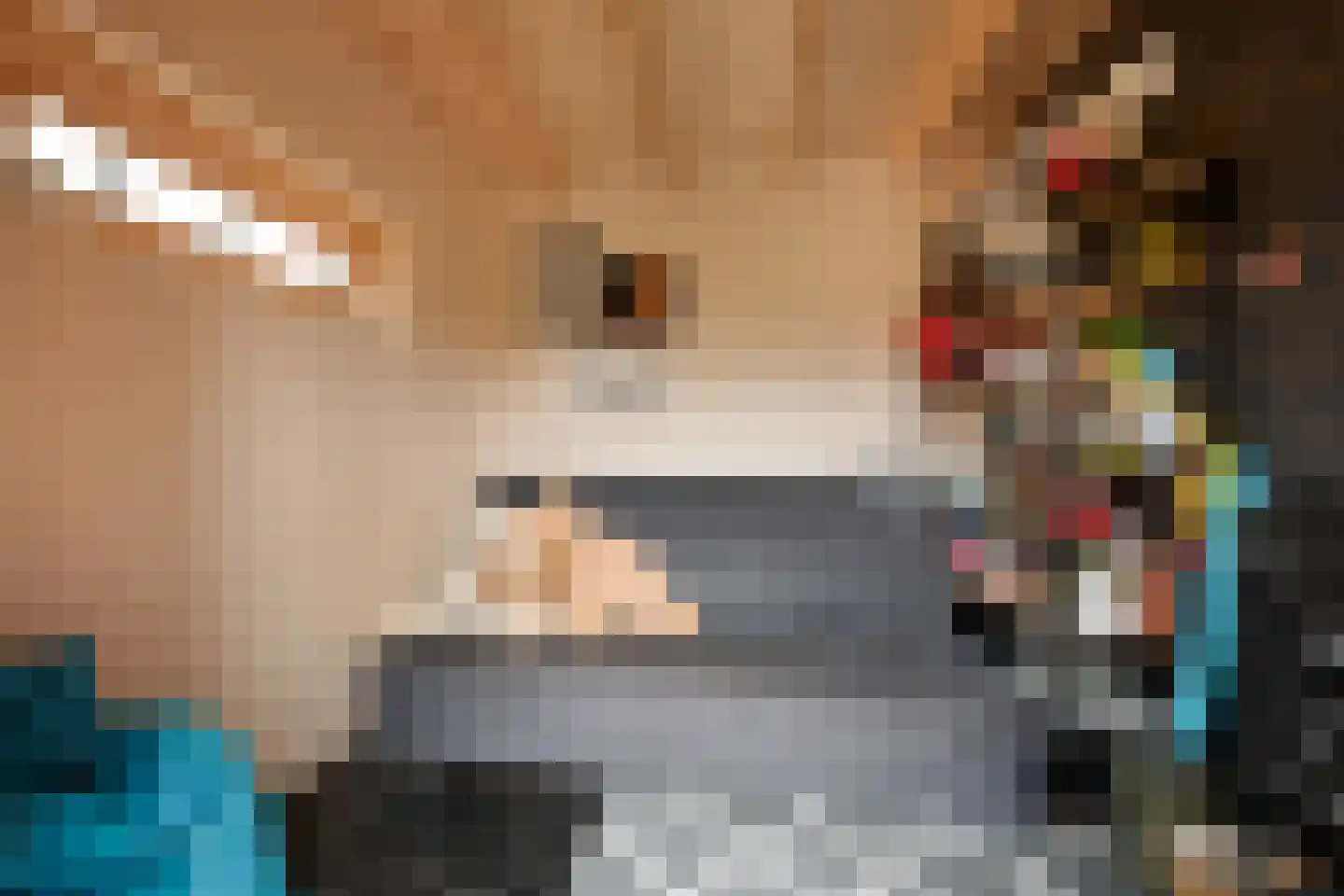 Cajanuspad 8 Haarlem thumbnail 12