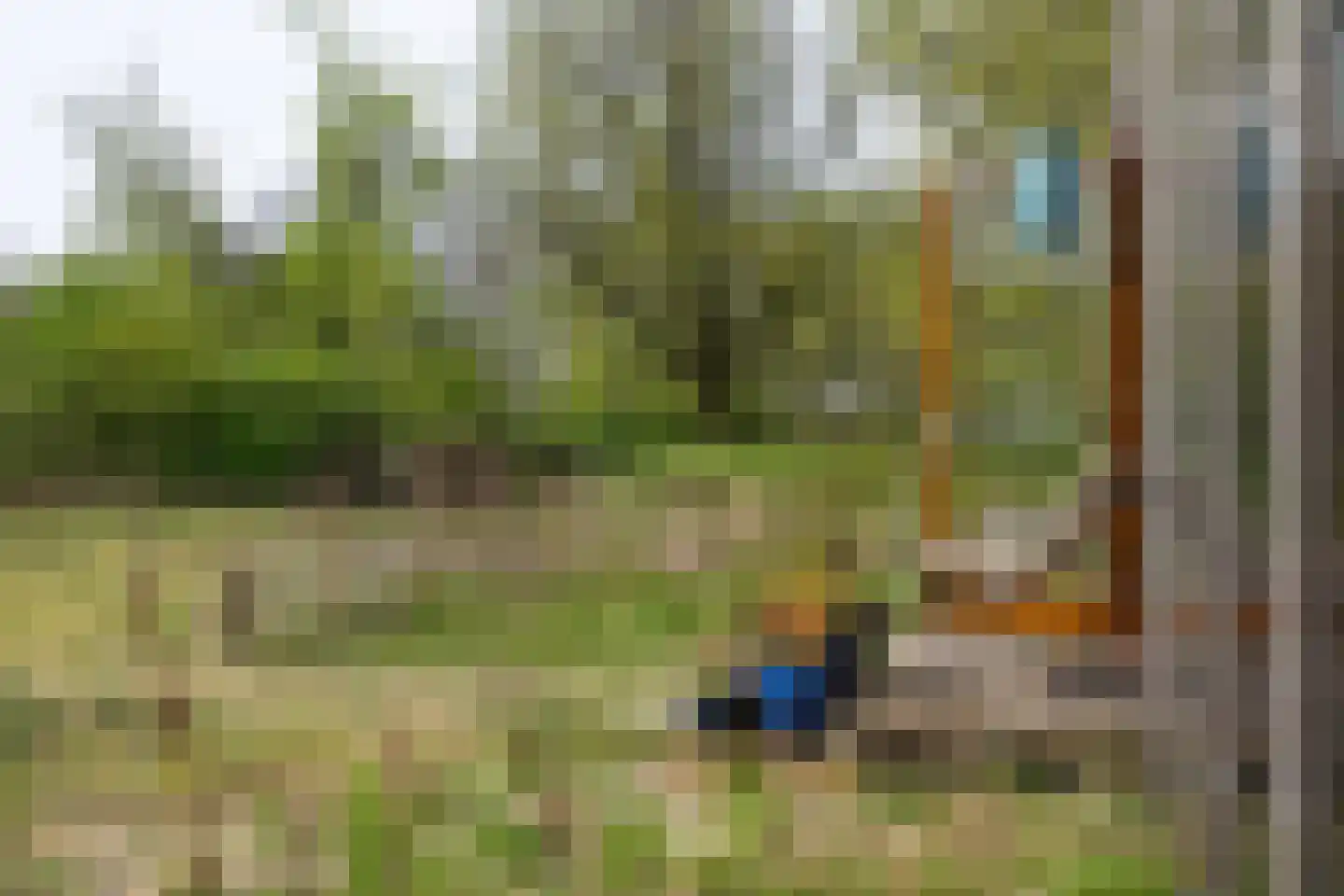 Cajanuspad 8 Haarlem thumbnail 15