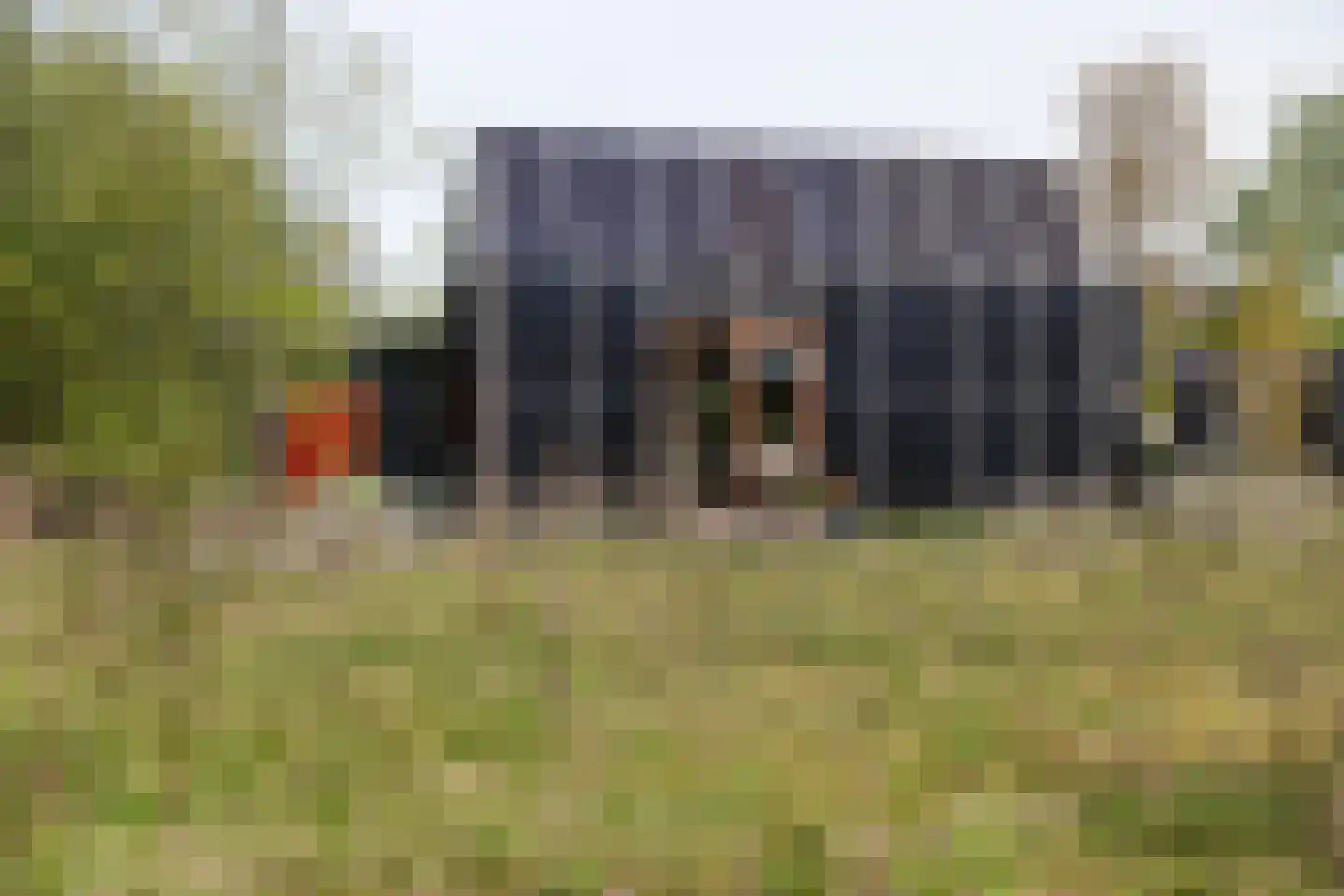 Cajanuspad 8 Haarlem thumbnail 16