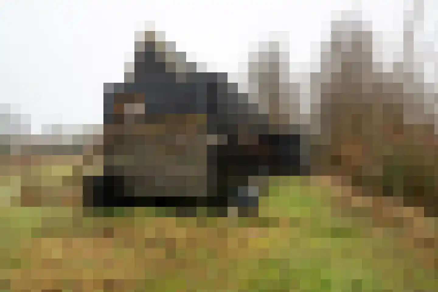 Cajanuspad 8 Haarlem thumbnail 18