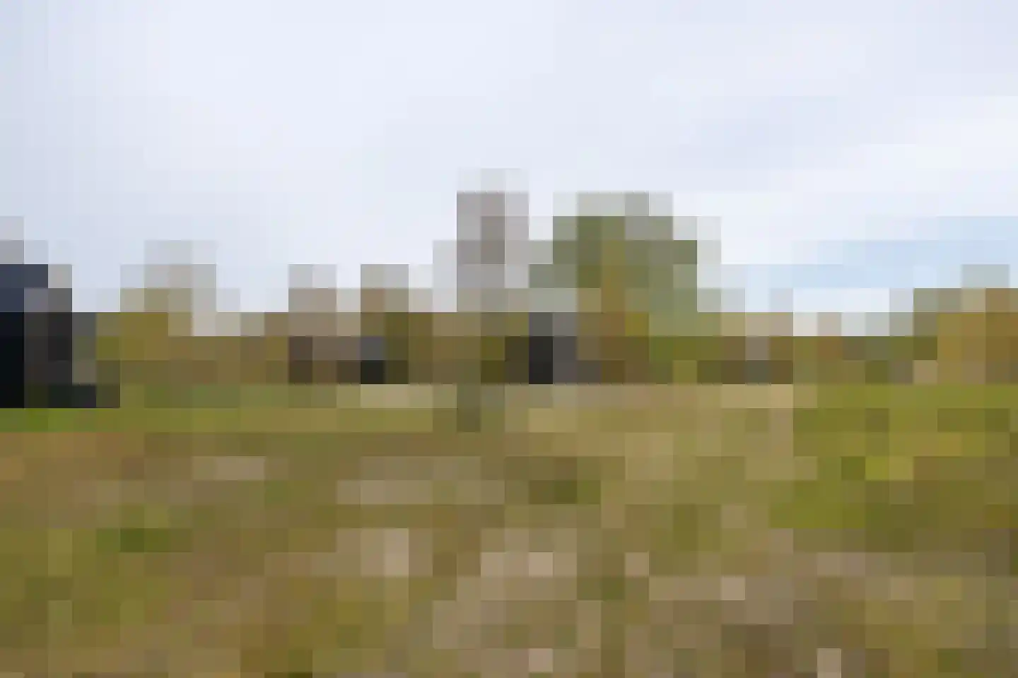 Cajanuspad 8 Haarlem thumbnail 20