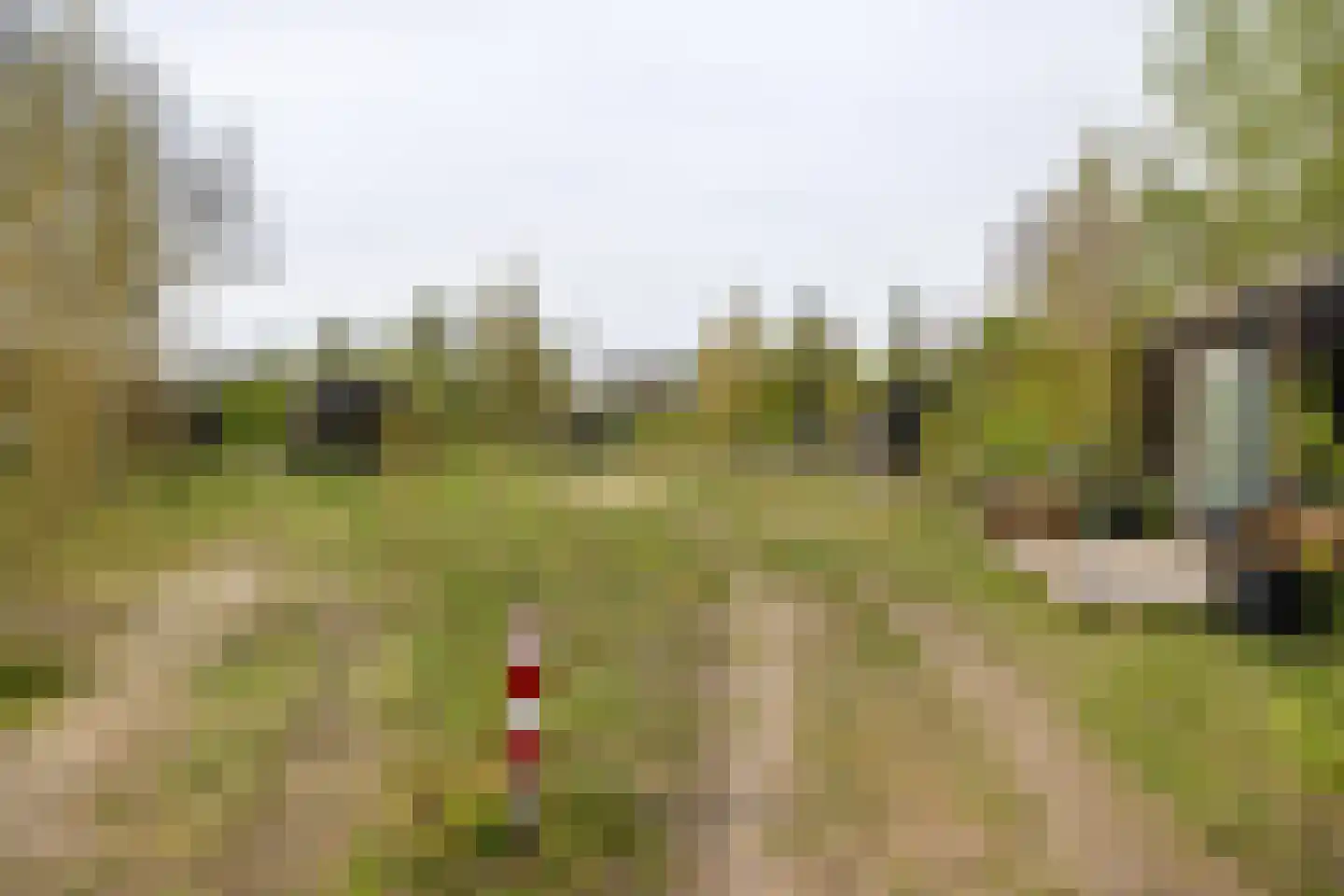 Cajanuspad 8 Haarlem thumbnail 22