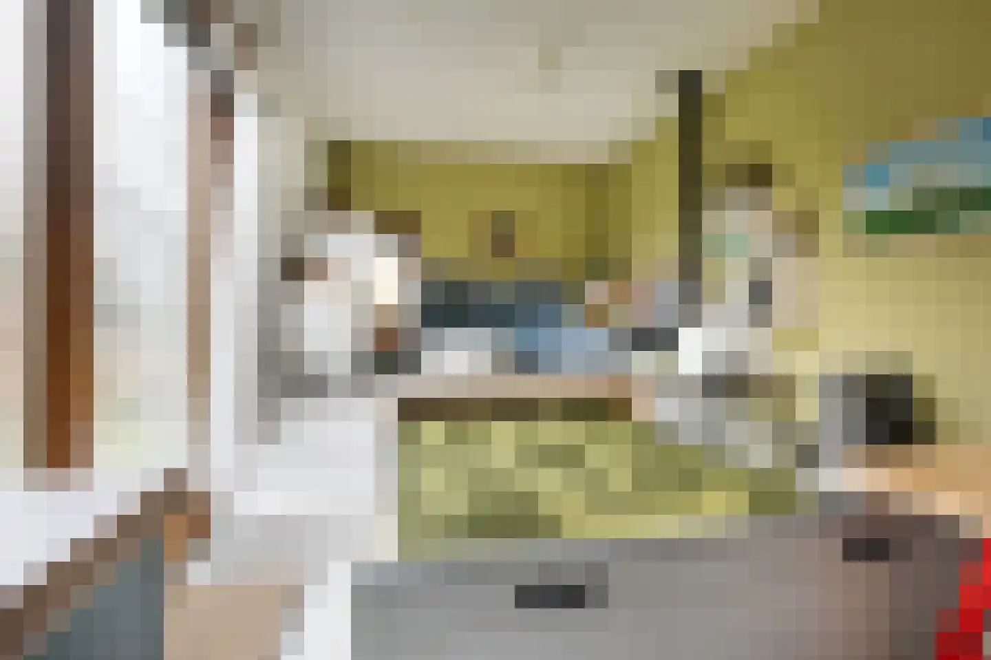 Cajanuspad 8 Haarlem thumbnail 4