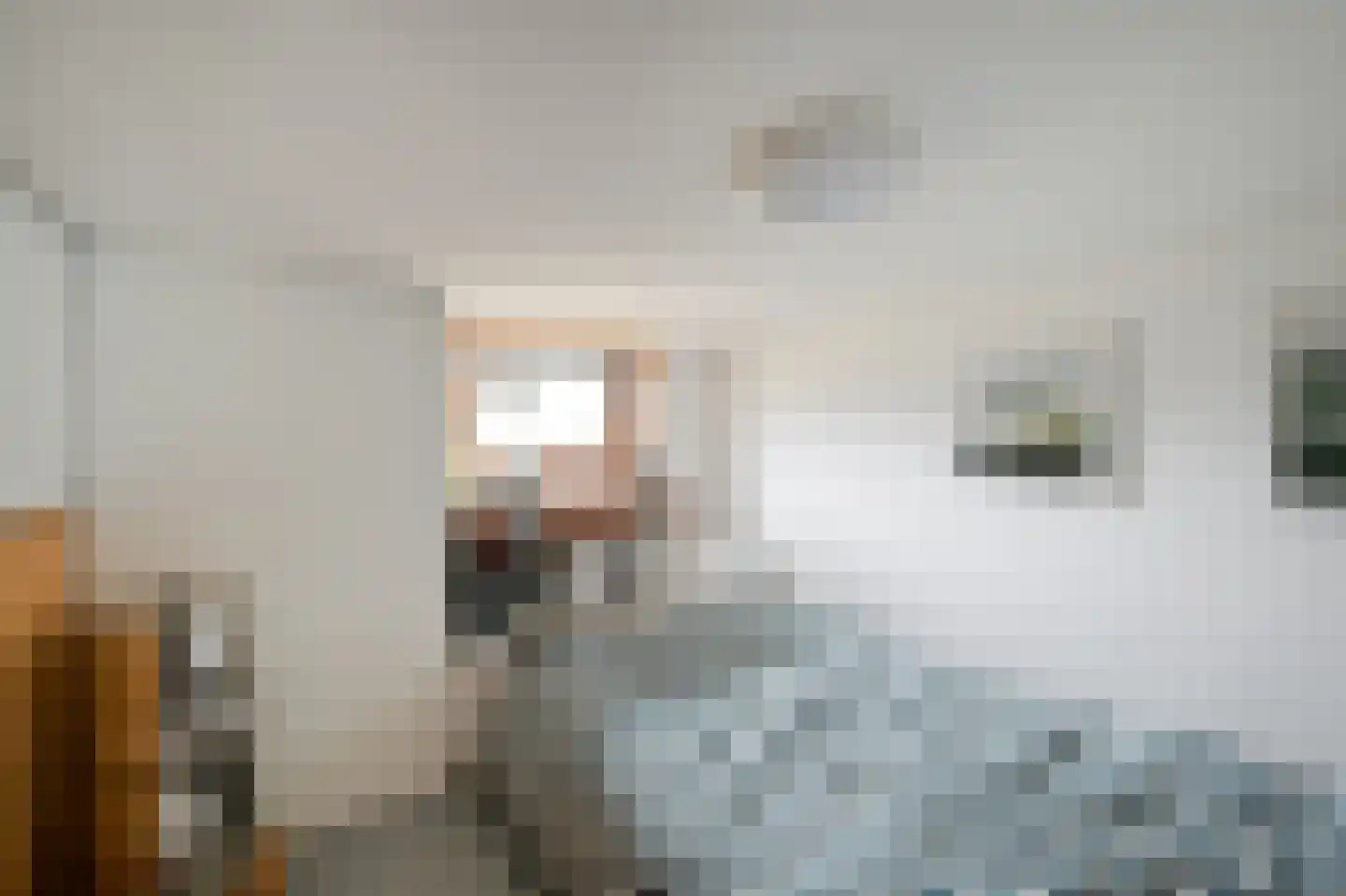 Cajanuspad 8 Haarlem thumbnail 9