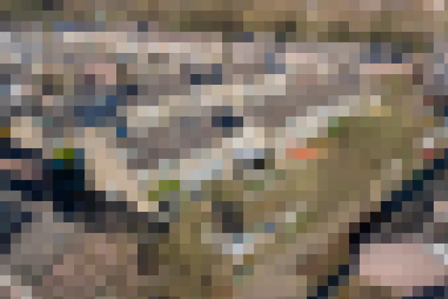 Cajersborg 17 Maastricht thumbnail 26
