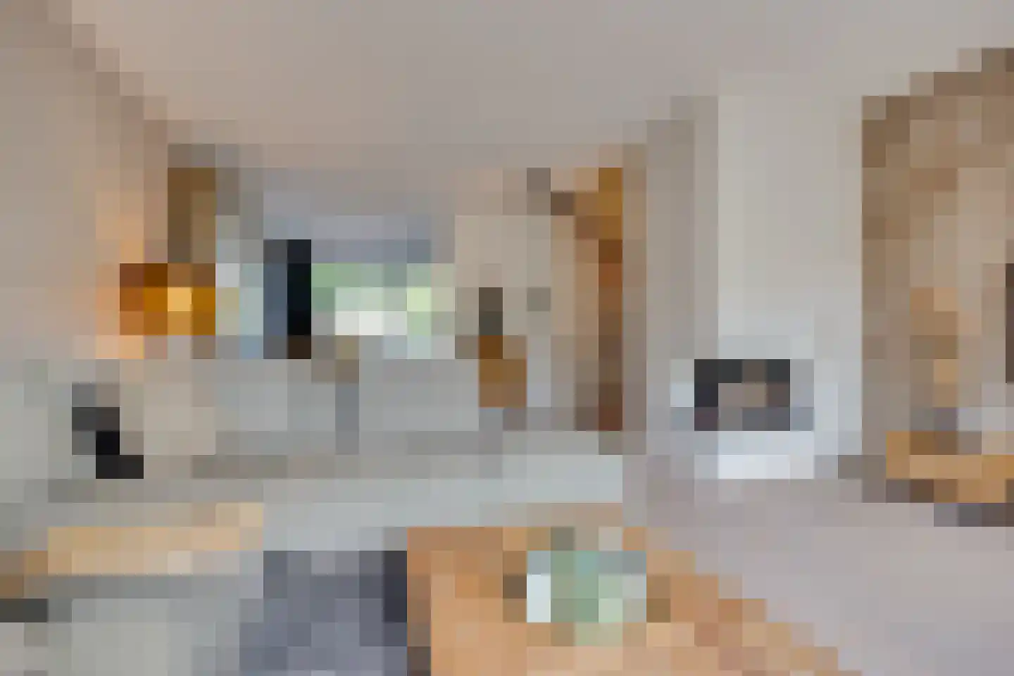 Calabrië 35 Leusden thumbnail 12
