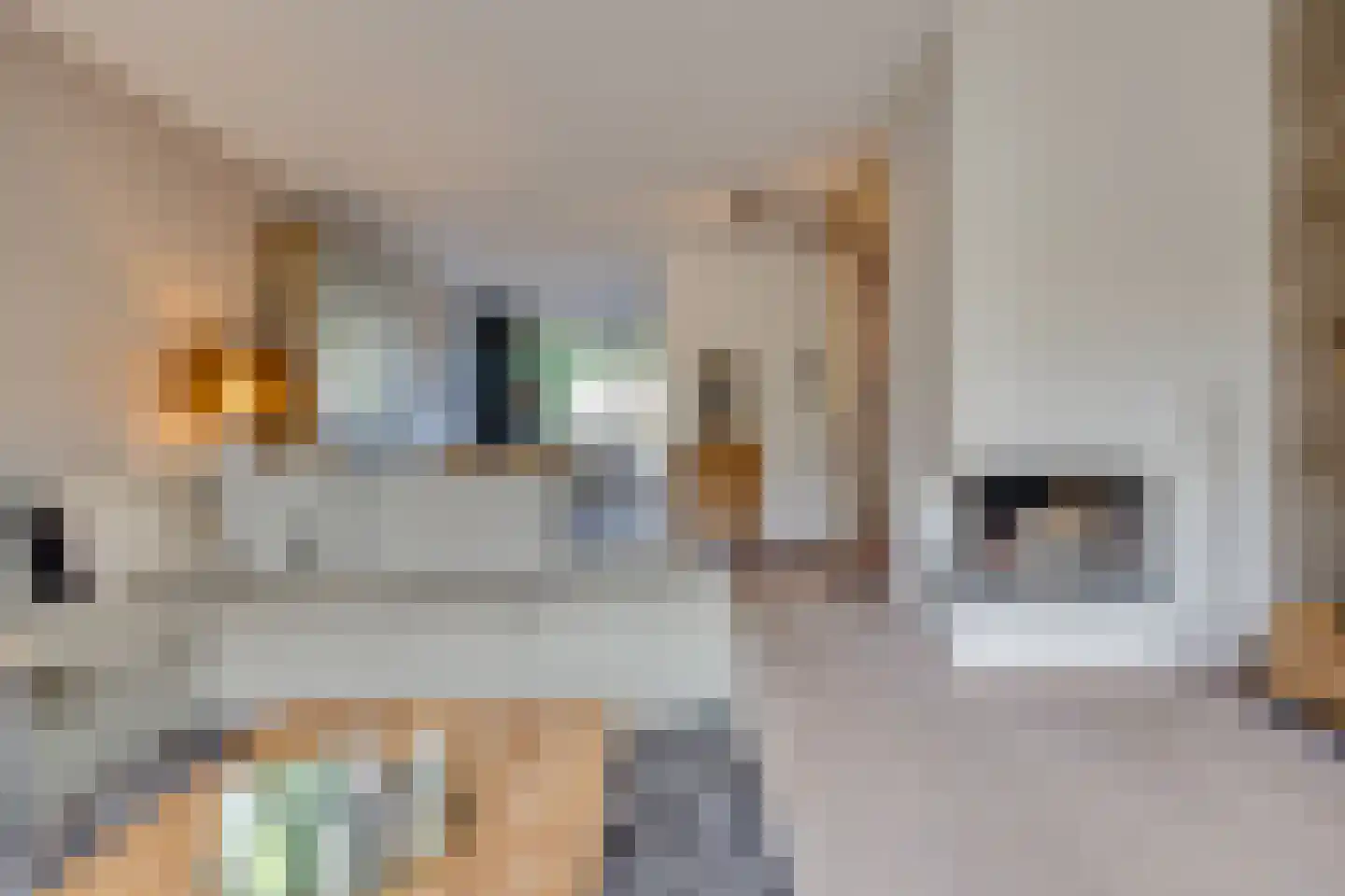 Calabrië 35 Leusden thumbnail 13