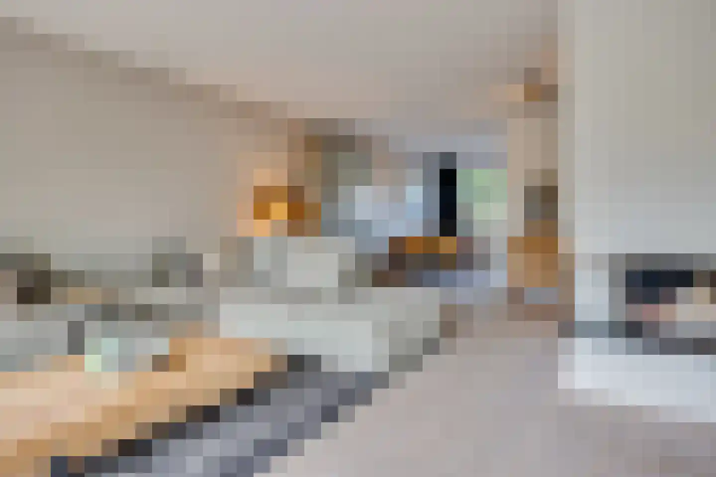 Calabrië 35 Leusden thumbnail 14