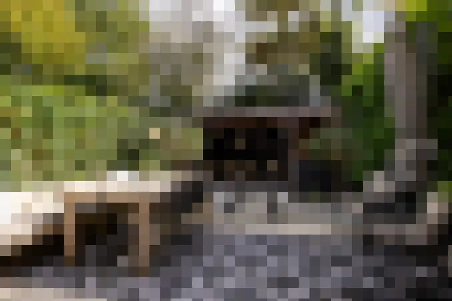 Calabrië 35 Leusden thumbnail 29