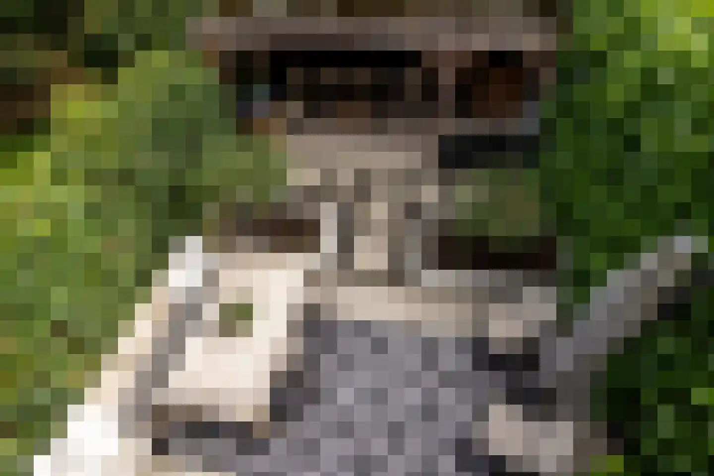 Calabrië 35 Leusden thumbnail 34