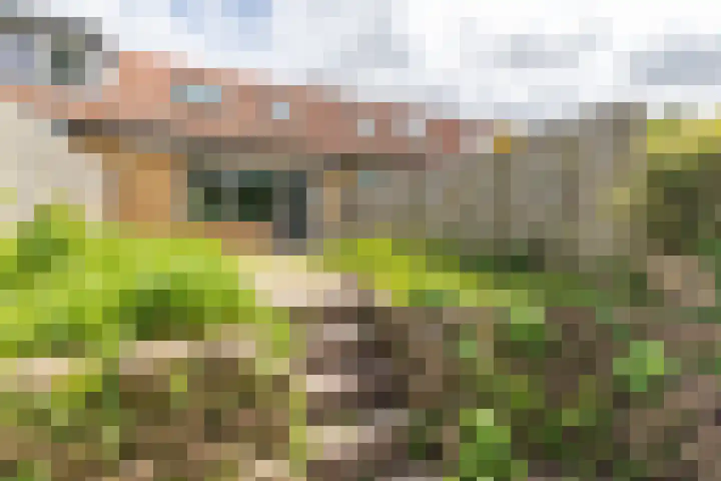 Calabriëstraat 15 Alkmaar thumbnail 39