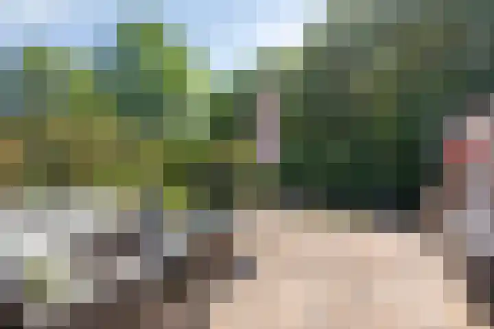 Calabriëstraat 29 Alkmaar thumbnail 15