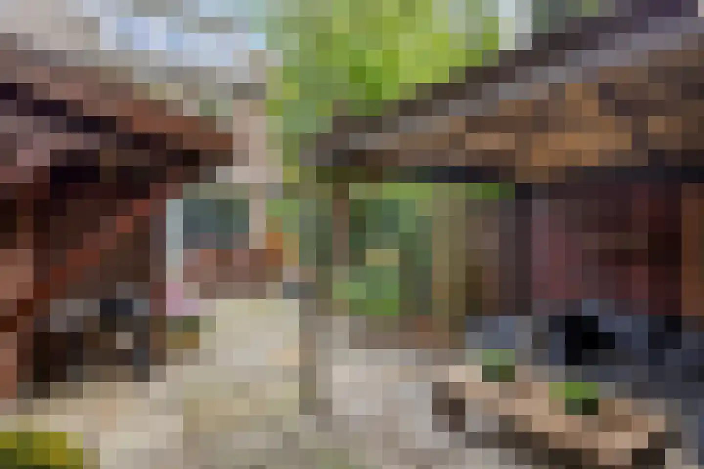 Calandhof 95 Tilburg thumbnail 27