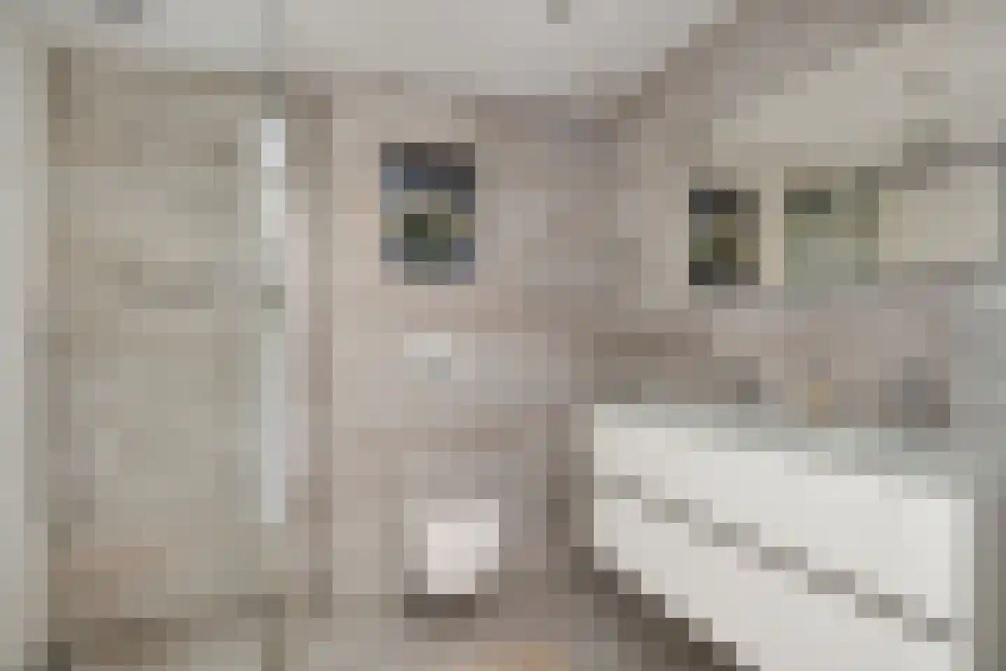 Calandhof 95 Tilburg thumbnail 6