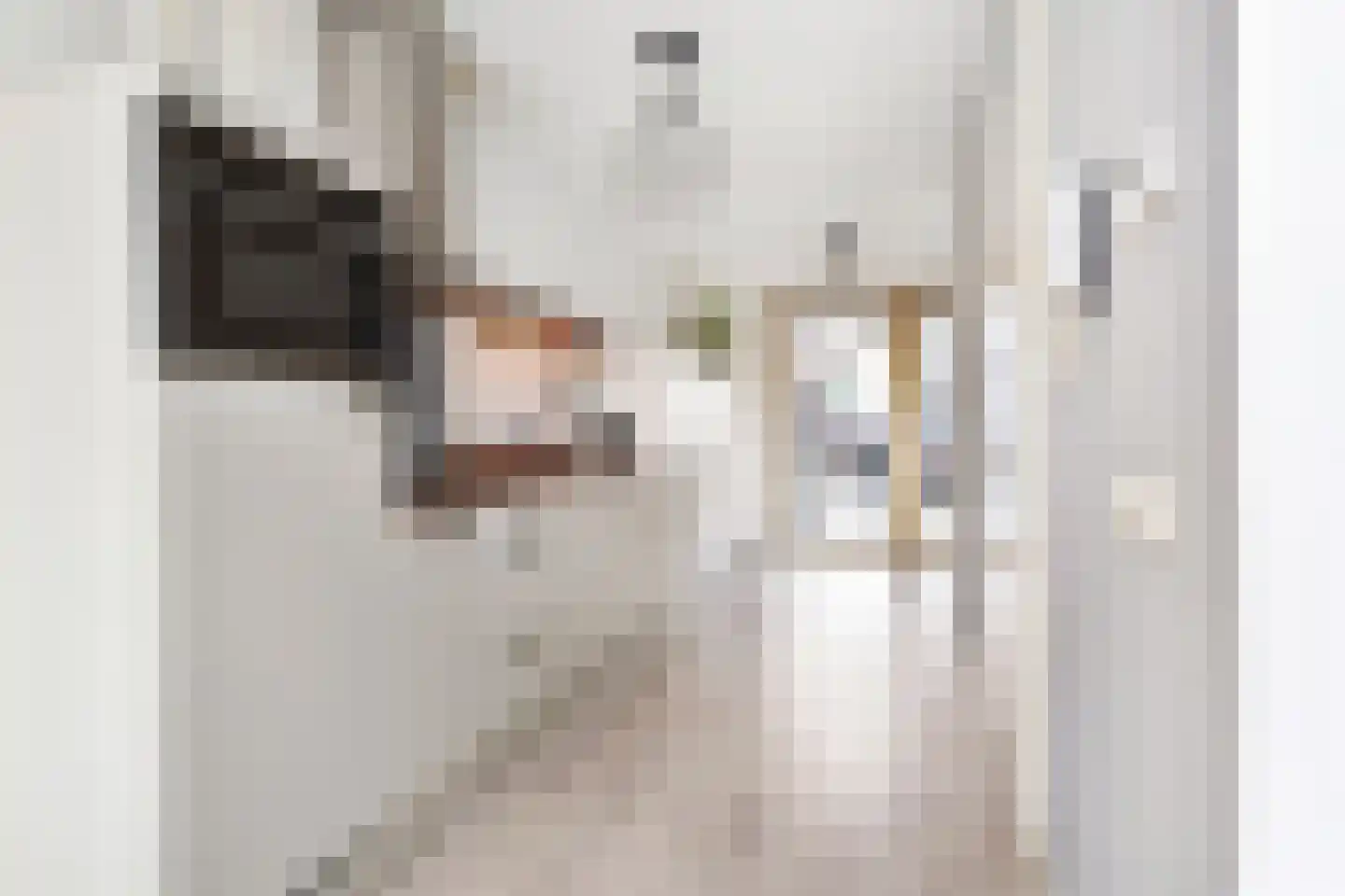 Calandkade 161 B Den Haag thumbnail 14