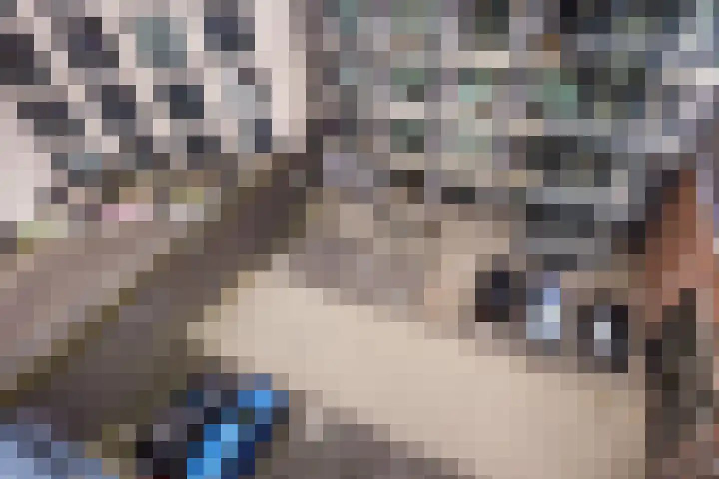 Calandkade 161 G Den Haag thumbnail 29