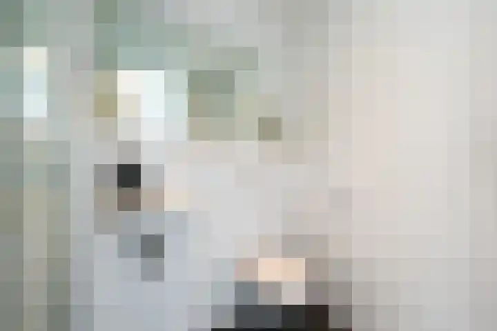 Calandkade 161 N Den Haag thumbnail 17