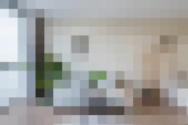 Calandkade 161 N Den Haag thumbnail 6