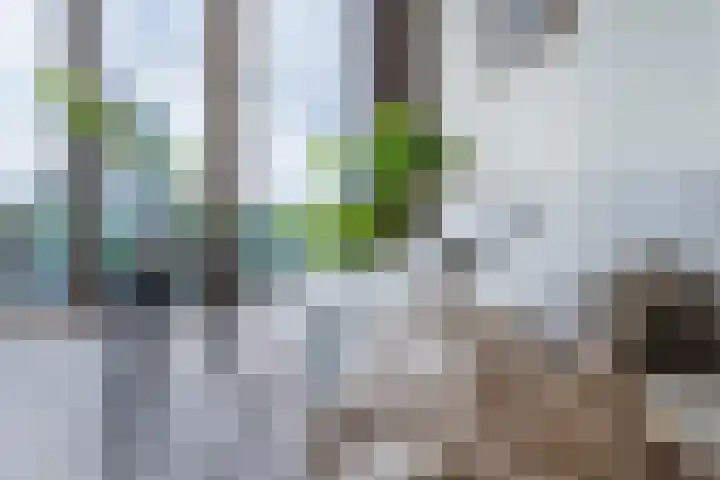 Calandkade 161 N Den Haag thumbnail 9