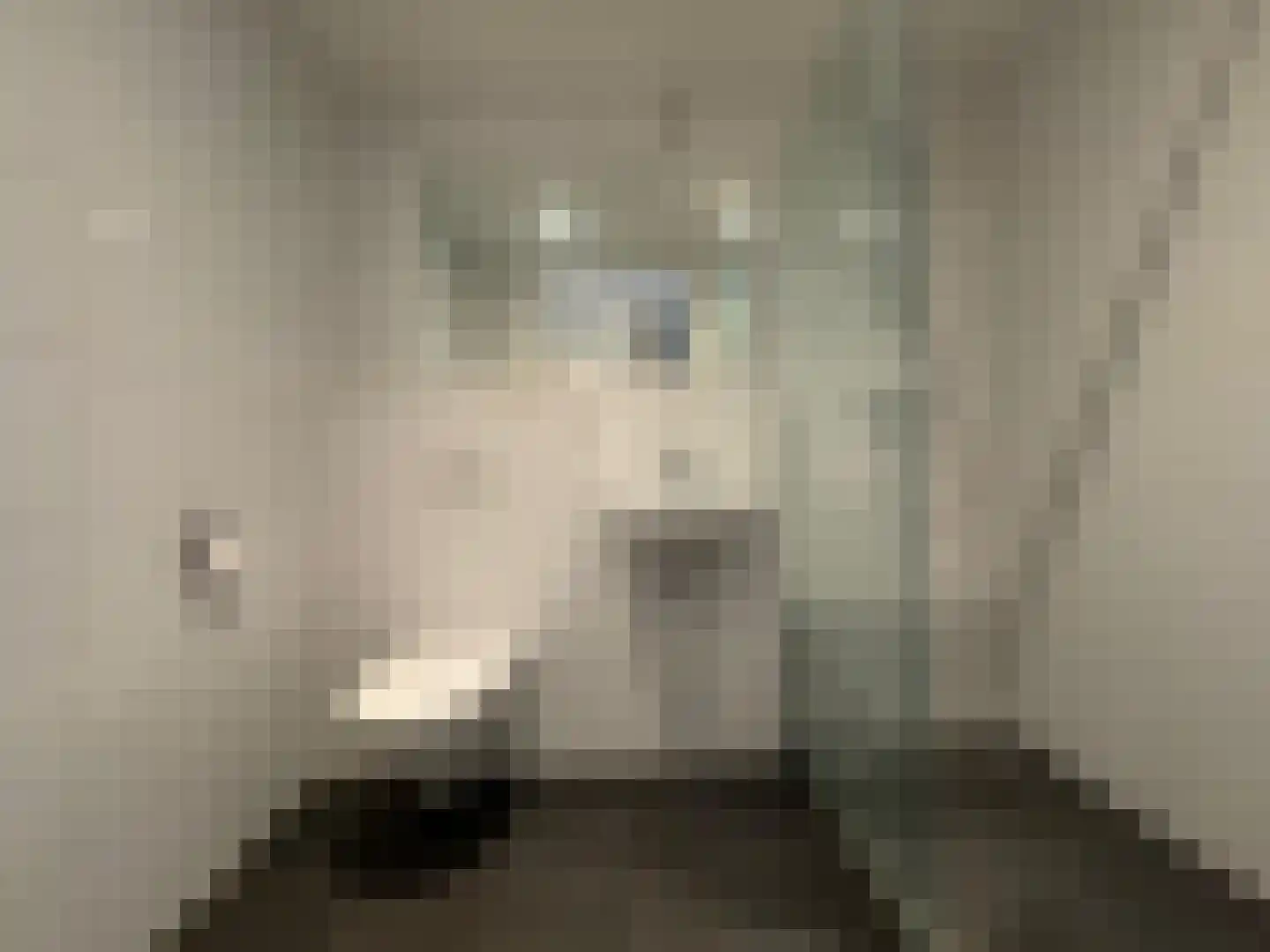 Calandkade 162 B Den Haag thumbnail 14