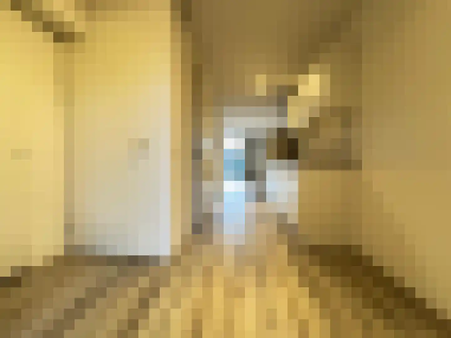 Calandkade 162 B Den Haag thumbnail 30