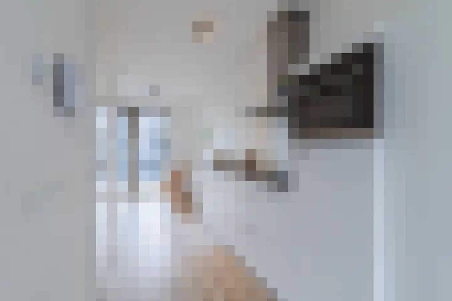 Calandkade 162 K Den Haag thumbnail 27