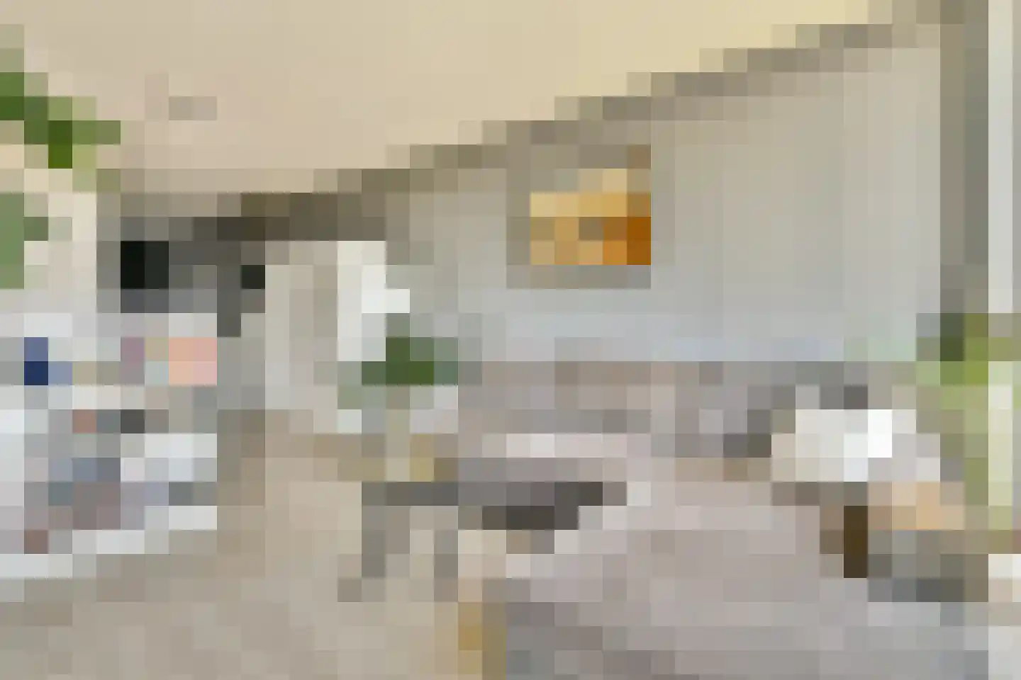 Calandkade 162 L Den Haag thumbnail 10