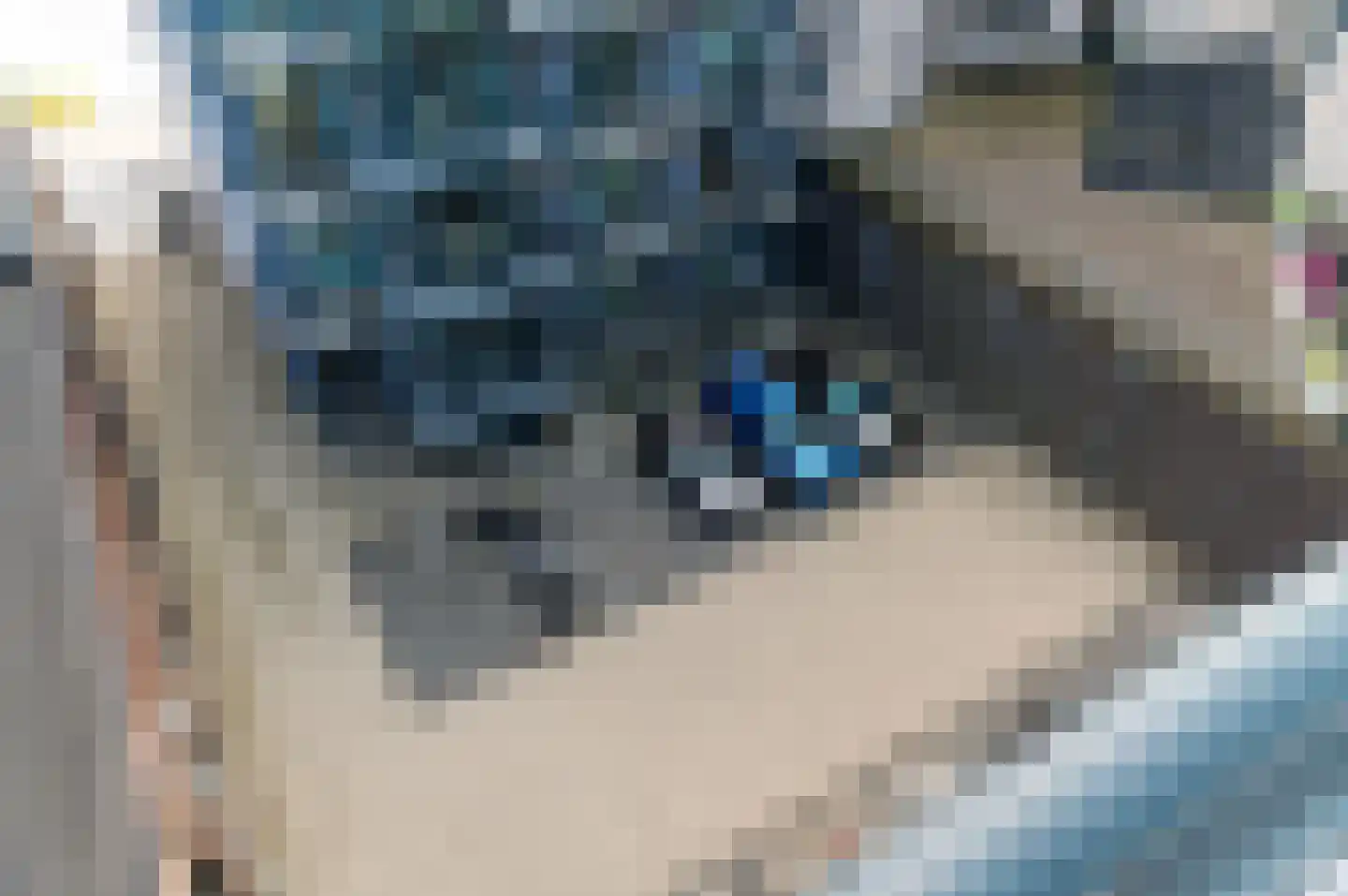 Calandkade 162 S Den Haag thumbnail 15
