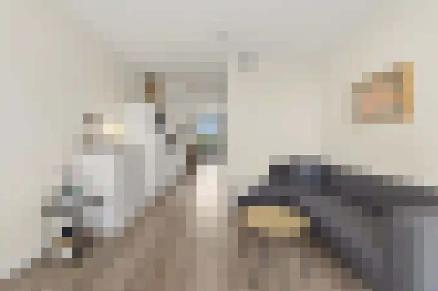 Calandkade 162 S Den Haag thumbnail 17