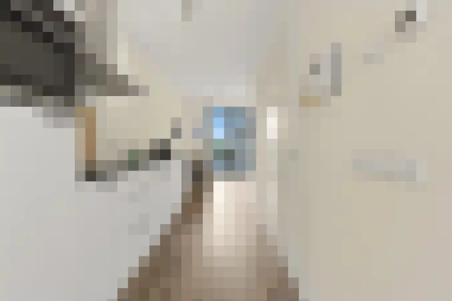 Calandkade 162 S Den Haag thumbnail 19