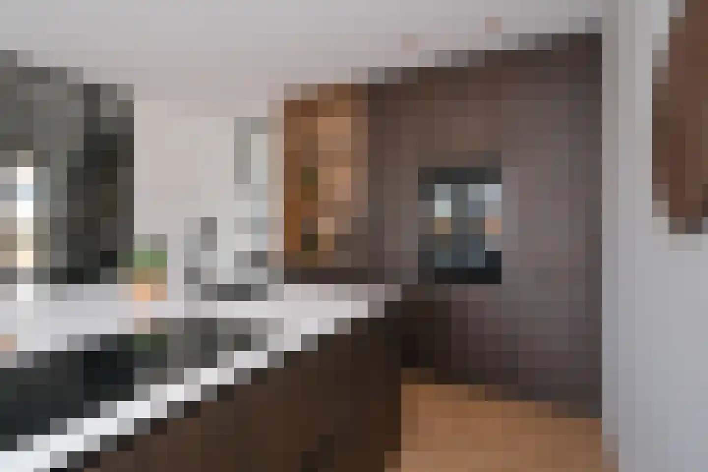 Calandlaan 8 Almelo thumbnail 15