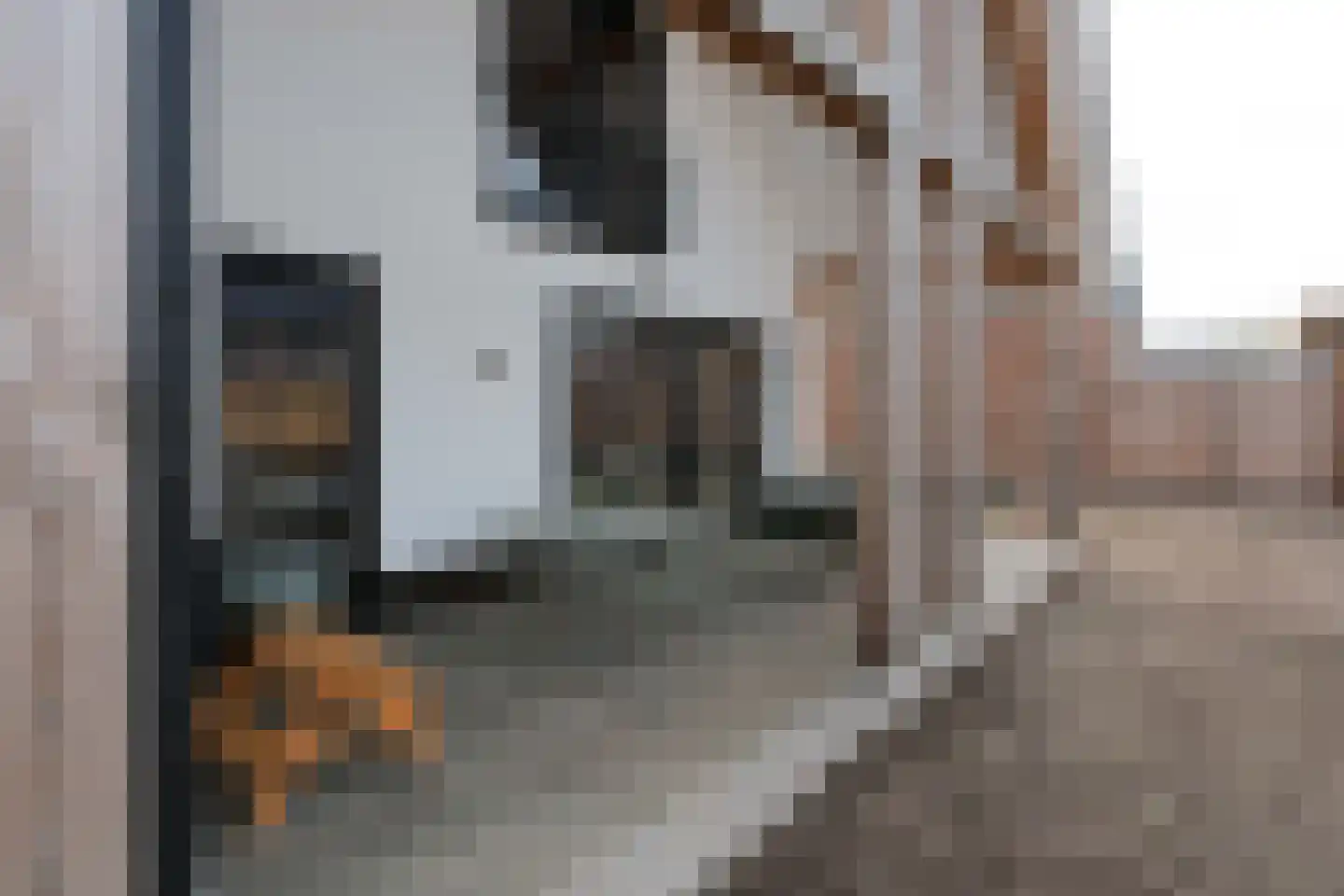 Calandlaan 8 Almelo thumbnail 31