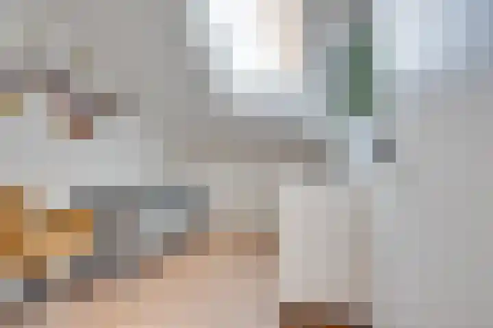 Calandostraat 21 Rosmalen thumbnail 23