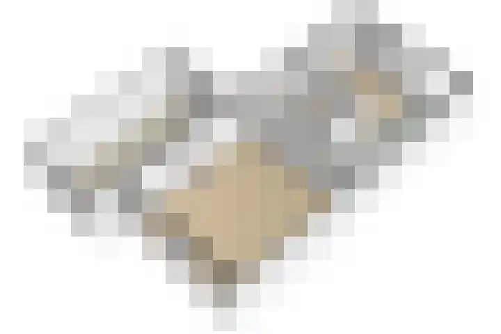 Calandostraat 21 Rosmalen thumbnail 38